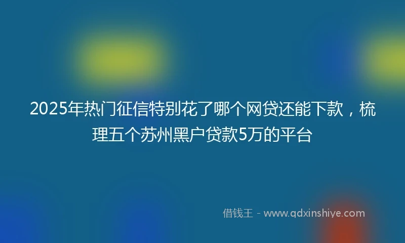 2025年热门征信特别花了哪个网贷还能下款，梳理五个苏州黑户贷款5万的平台