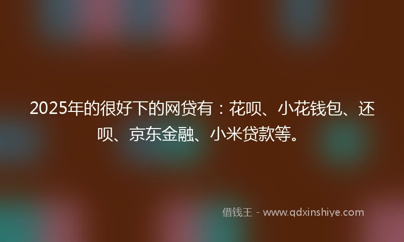2025年的很好下的网贷有：花呗、小花钱包、还呗、京东金融、小米贷款等。