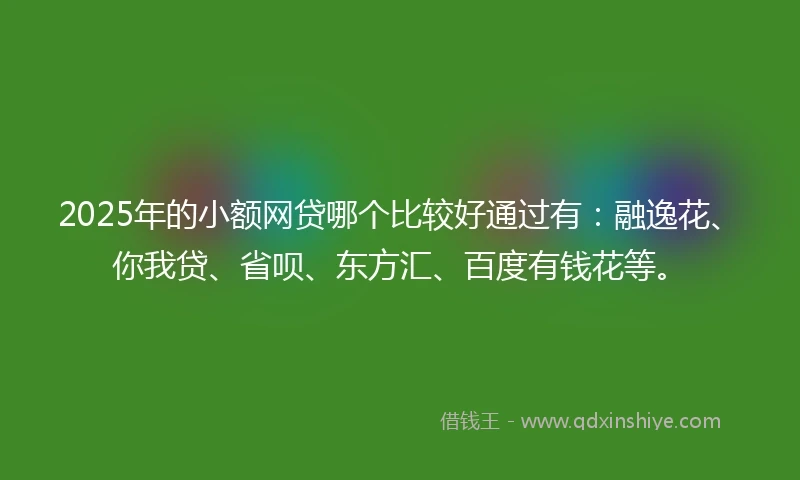 2025年的小额网贷哪个比较好通过有：融逸花、你我贷、省呗、东方汇、百度有钱花等。