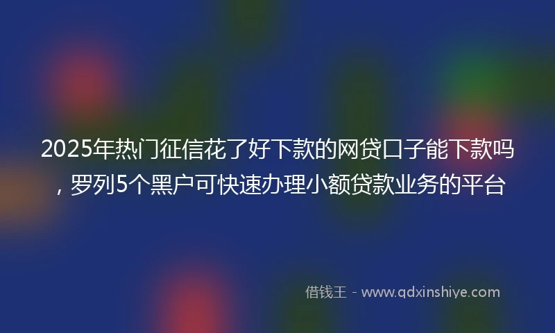 2025年热门征信花了好下款的网贷口子能下款吗，罗列5个黑户可快速办理小额贷款业务的平台