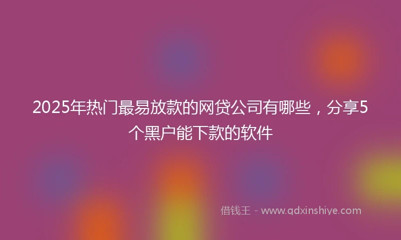 2025年热门最易放款的网贷公司有哪些，分享5个黑户能下款的软件