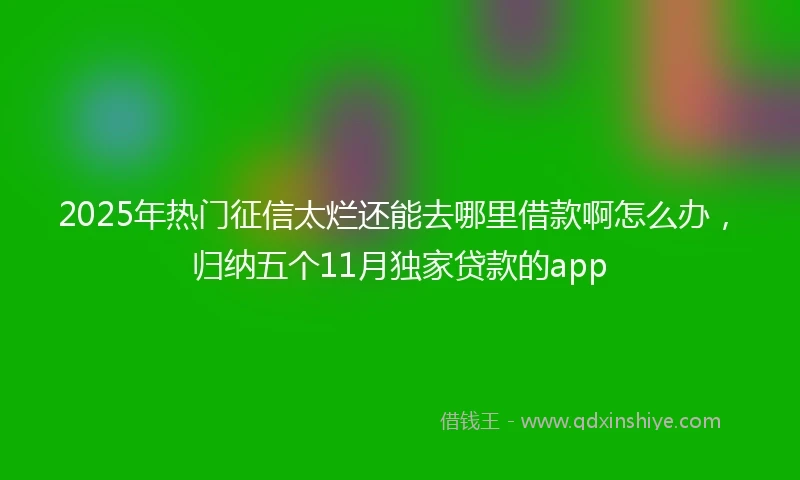 2025年热门征信太烂还能去哪里借款啊怎么办，归纳五个11月独家贷款的app