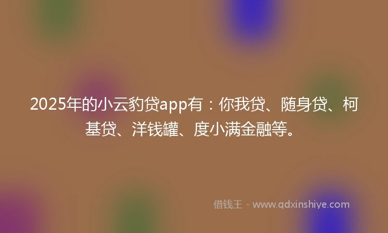 2025年的小云豹贷app有:你我贷、随身贷、柯基贷、洋钱罐、度小满金融等。