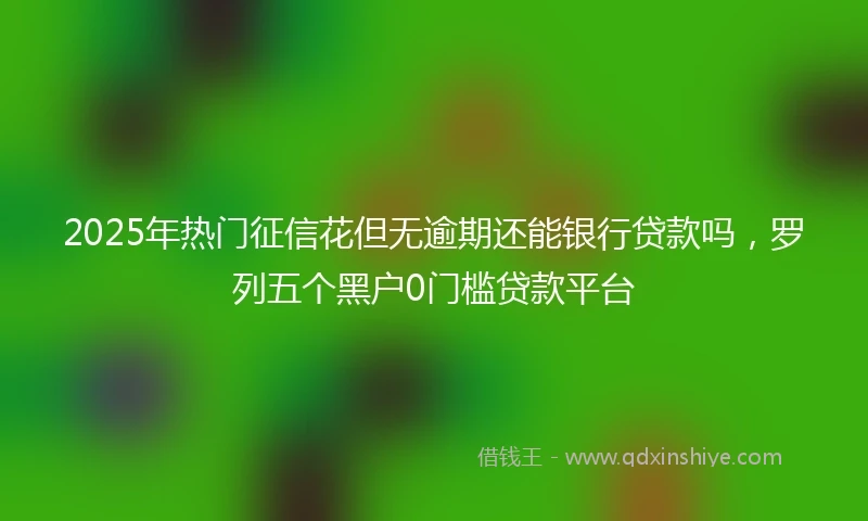 2025年热门征信花但无逾期还能银行贷款吗，罗列五个黑户0门槛贷款平台