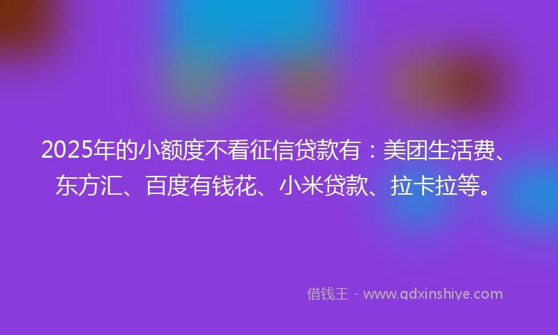 2025年的小额度不看征信贷款有：美团生活费、东方汇、百度有钱花、小米贷款、拉卡拉等。