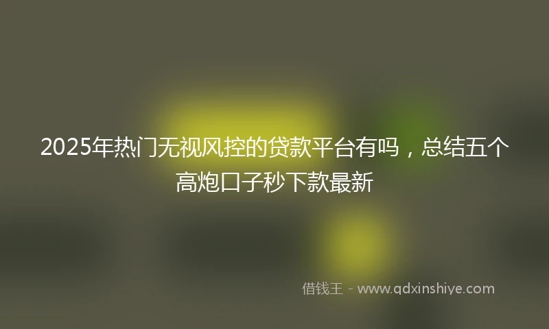 2025年热门无视风控的贷款平台有吗，总结五个高炮口子秒下款最新
