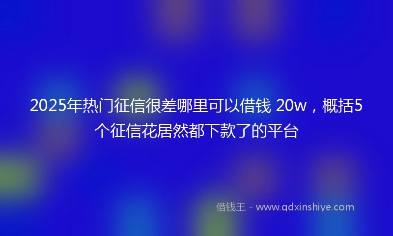 2025年热门征信很差哪里可以借钱 20w，概括5个征信花居然都下款了的平台