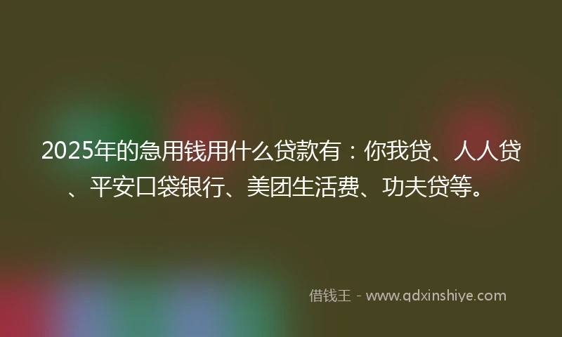 2025年的急用钱用什么贷款有：你我贷、人人贷、平安口袋银行、美团生活费、功夫贷等。