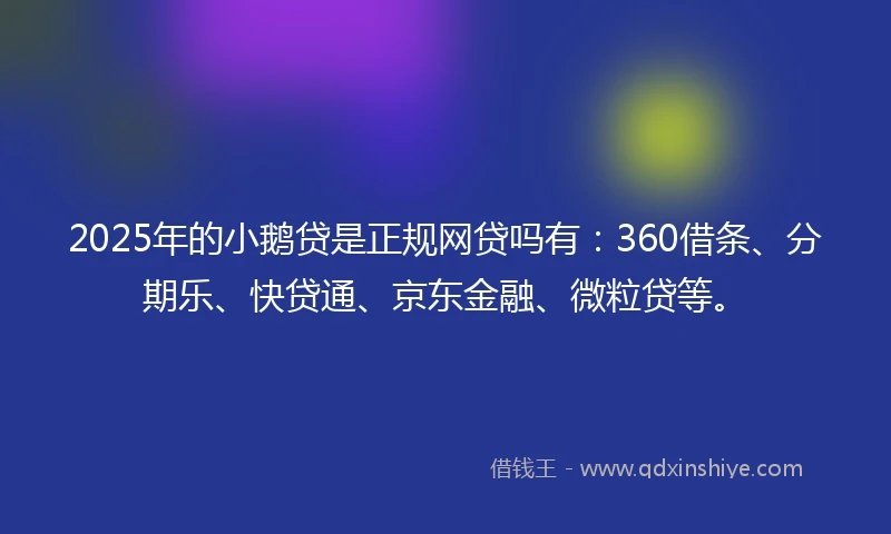 2025年的小鹅贷是正规网贷吗有：360借条、分期乐、快贷通、京东金融、微粒贷等。