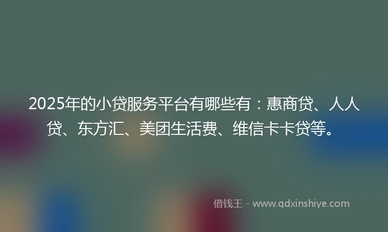 2025年的小贷服务平台有哪些有：惠商贷、人人贷、东方汇、美团生活费、维信卡卡贷等。