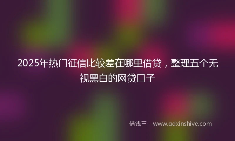 2025年热门征信比较差在哪里借贷，整理五个无视黑白的网贷口子