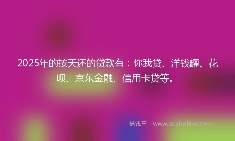 2025年的按天还的贷款有：你我贷、洋钱罐、花呗、京东金融、信用卡贷等。