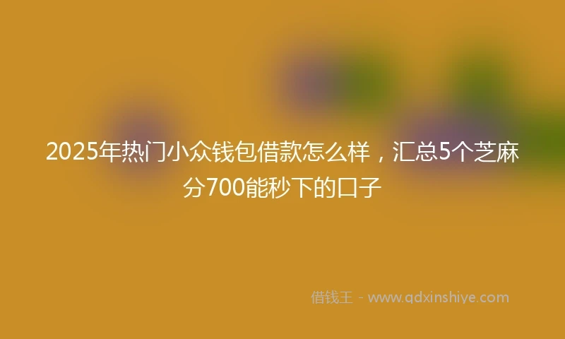 2025年热门小众钱包借款怎么样，汇总5个芝麻分700能秒下的口子