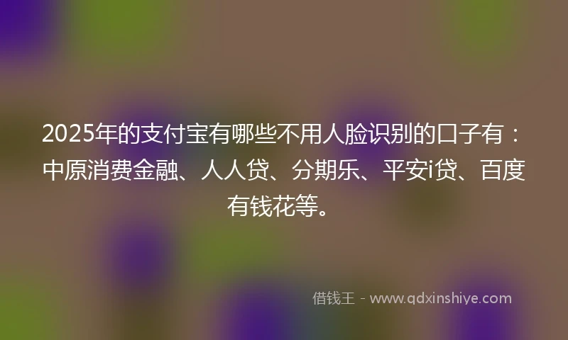 2025年的支付宝有哪些不用人脸识别的口子有：中原消费金融、人人贷、分期乐、平安i贷、百度有钱花等。