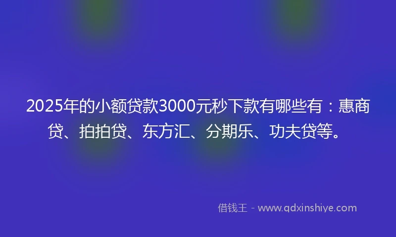2025年的小额贷款3000元秒下款有哪些有：惠商贷、拍拍贷、东方汇、分期乐、功夫贷等。