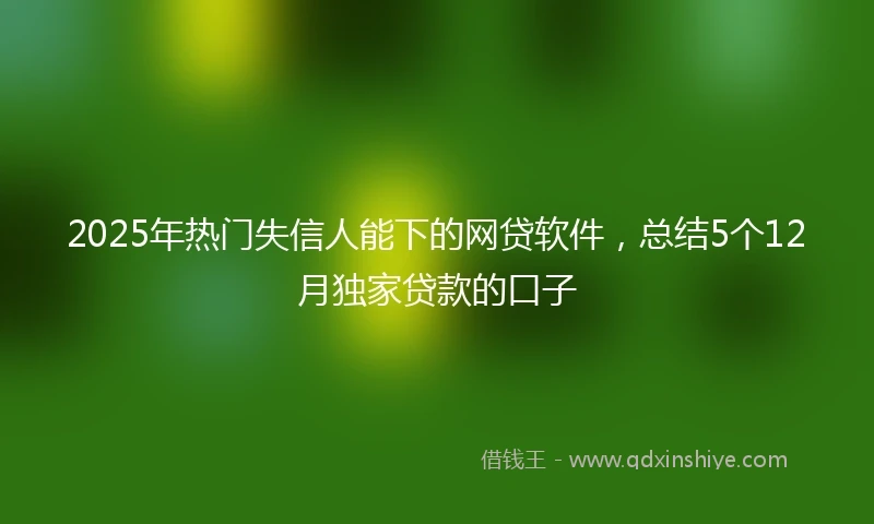 2025年热门失信人能下的网贷软件，总结5个12月独家贷款的口子