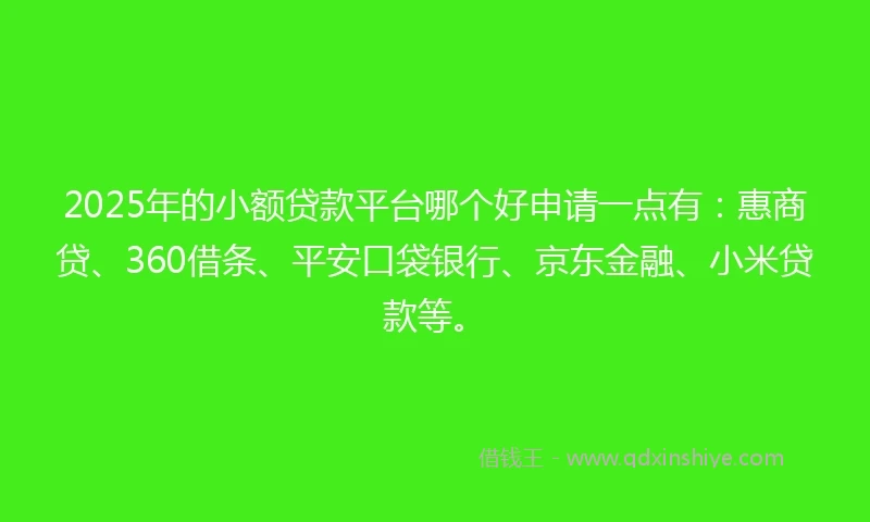 2025年的小额贷款平台哪个好申请一点有：惠商贷、360借条、平安口袋银行、京东金融、小米贷款等。