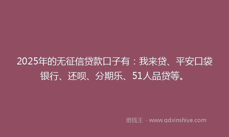 2025年的无征信贷款口子有：我来贷、平安口袋银行、还呗、分期乐、51人品贷等。