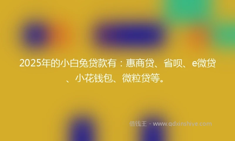 2025年的小白兔贷款有：惠商贷、省呗、e微贷、小花钱包、微粒贷等。