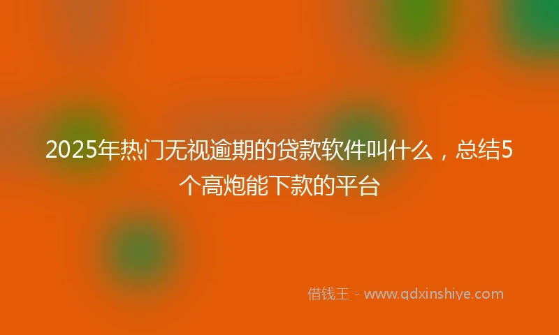 2025年热门无视逾期的贷款软件叫什么，总结5个高炮能下款的平台