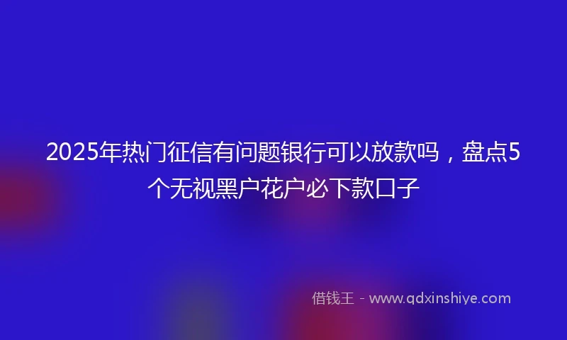 2025年热门征信有问题银行可以放款吗，盘点5个无视黑户花户必下款口子