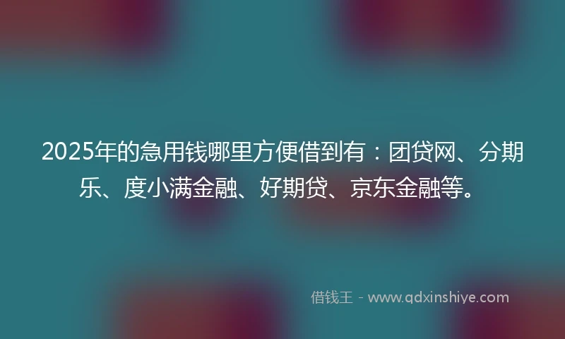 2025年的急用钱哪里方便借到有：团贷网、分期乐、度小满金融、好期贷、京东金融等。