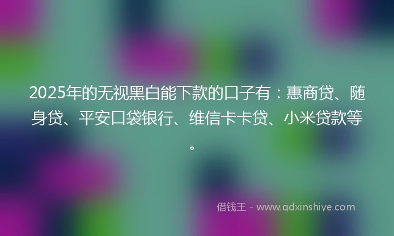 2025年的无视黑白能下款的口子有：惠商贷、随身贷、平安口袋银行、维信卡卡贷、小米贷款等。