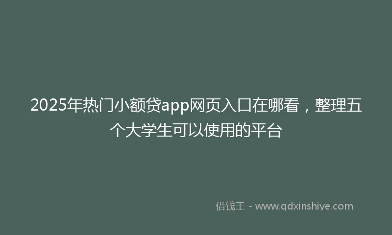 2025年热门小额贷app网页入口在哪看，整理五个大学生可以使用的平台
