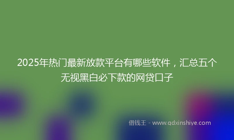 2025年热门最新放款平台有哪些软件，汇总五个无视黑白必下款的网贷口子