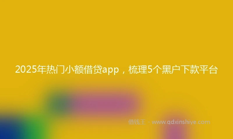 2025年热门小额借贷app，梳理5个黑户下款平台