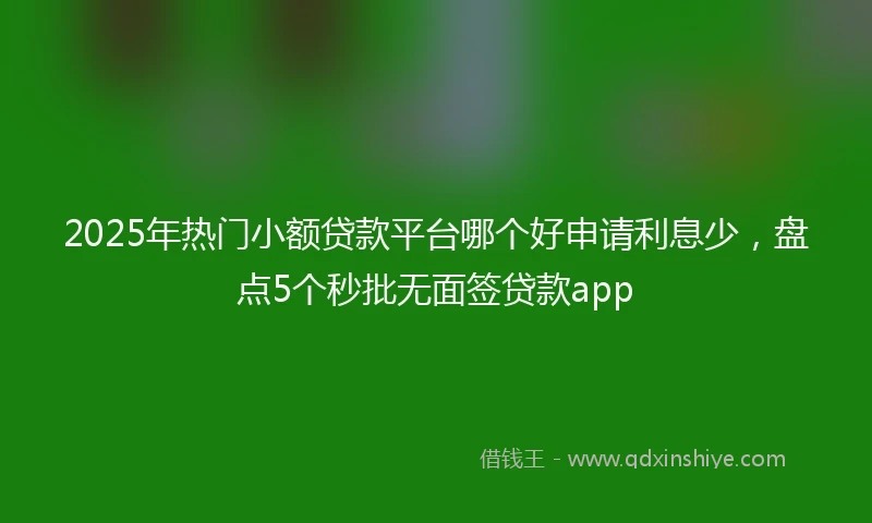 2025年热门小额贷款平台哪个好申请利息少，盘点5个秒批无面签贷款app