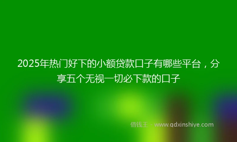 2025年热门好下的小额贷款口子有哪些平台，分享五个无视一切必下款的口子