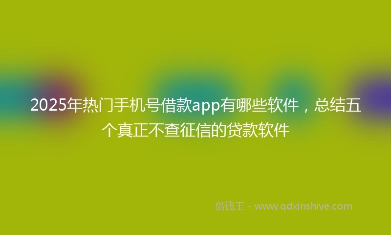 2025年热门手机号借款app有哪些软件，总结五个真正不查征信的贷款软件