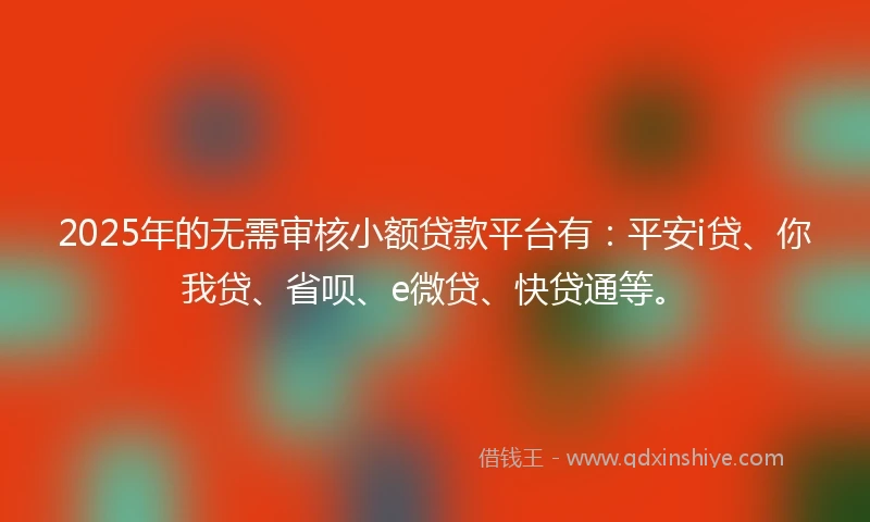 2025年的无需审核小额贷款平台有：平安i贷、你我贷、省呗、e微贷、快贷通等。