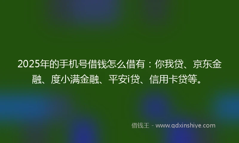 2025年的手机号借钱怎么借有：你我贷、京东金融、度小满金融、平安i贷、信用卡贷等。
