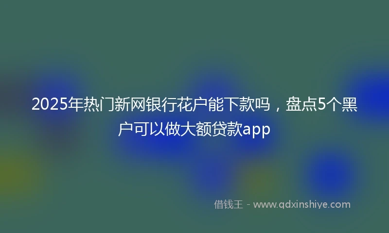 2025年热门新网银行花户能下款吗，盘点5个黑户可以做大额贷款app