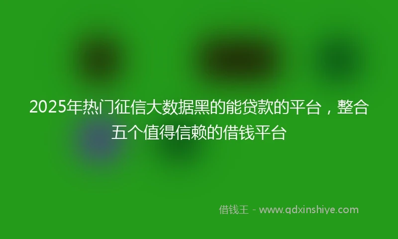 2025年热门征信大数据黑的能贷款的平台，整合五个值得信赖的借钱平台