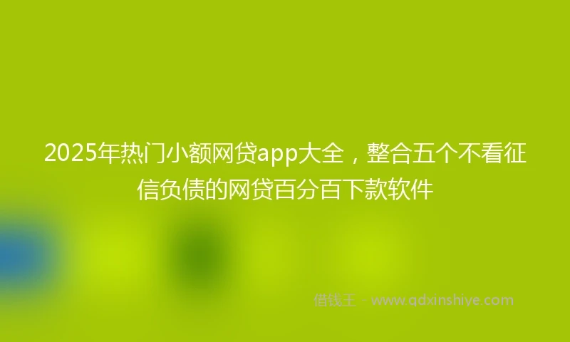 2025年热门小额网贷app大全,整合五个不看征信负债的网贷百分百下款软件
