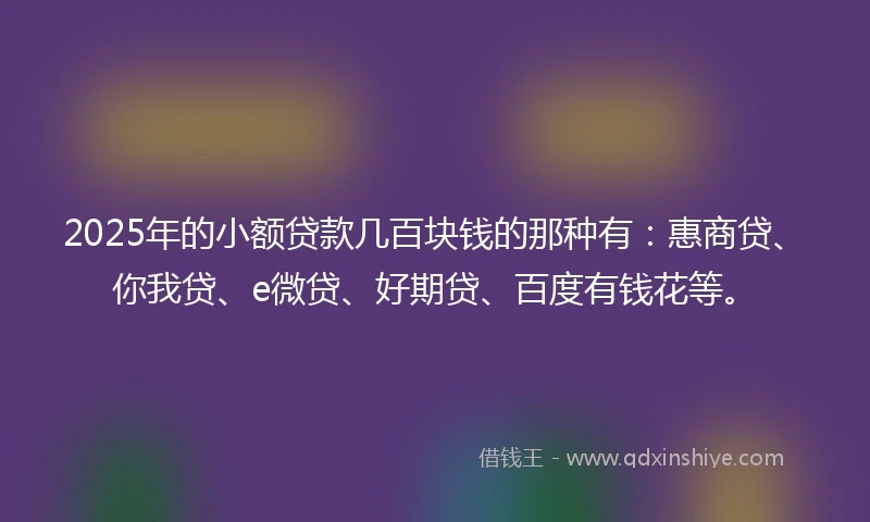 2025年的小额贷款几百块钱的那种有：惠商贷、你我贷、e微贷、好期贷、百度有钱花等。