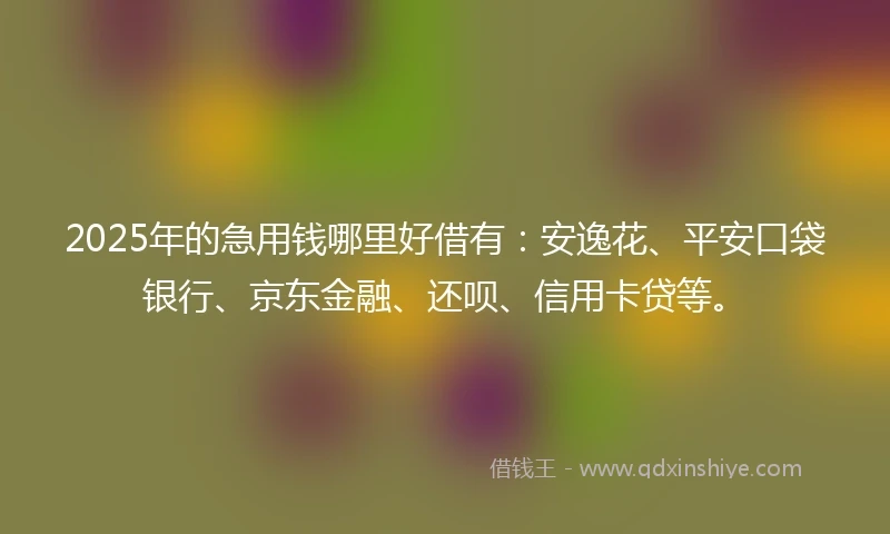 2025年的急用钱哪里好借有：安逸花、平安口袋银行、京东金融、还呗、信用卡贷等。