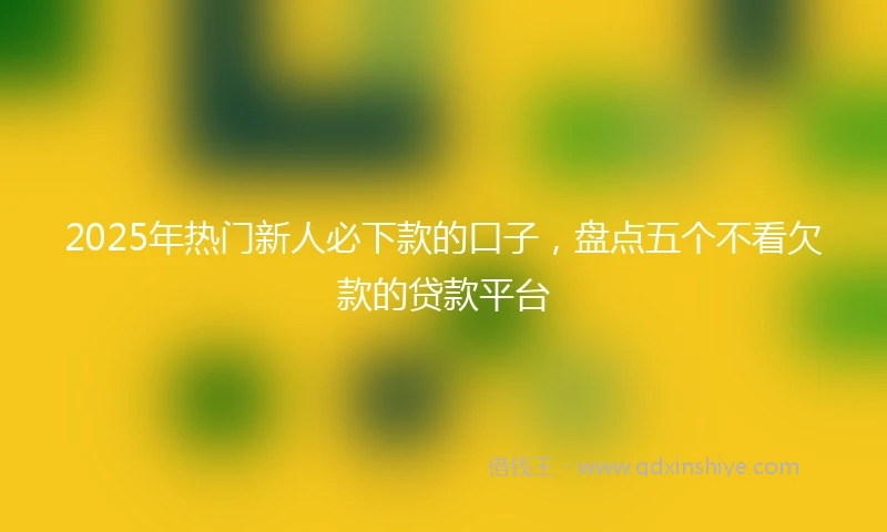 2025年热门新人必下款的口子，盘点五个不看欠款的贷款平台