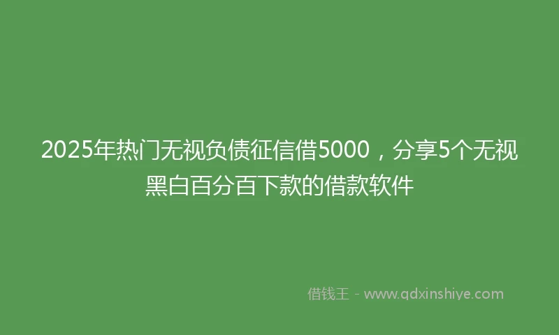 2025年热门无视负债征信借5000，分享5个无视黑白百分百下款的借款软件