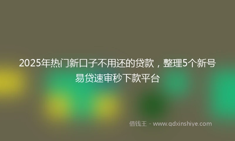 2025年热门新口子不用还的贷款，整理5个新号易贷速审秒下款平台