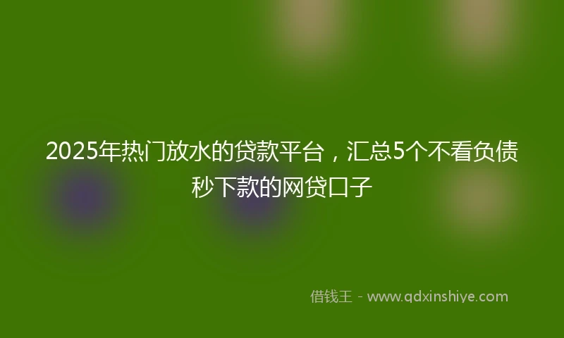 2025年热门放水的贷款平台，汇总5个不看负债秒下款的网贷口子
