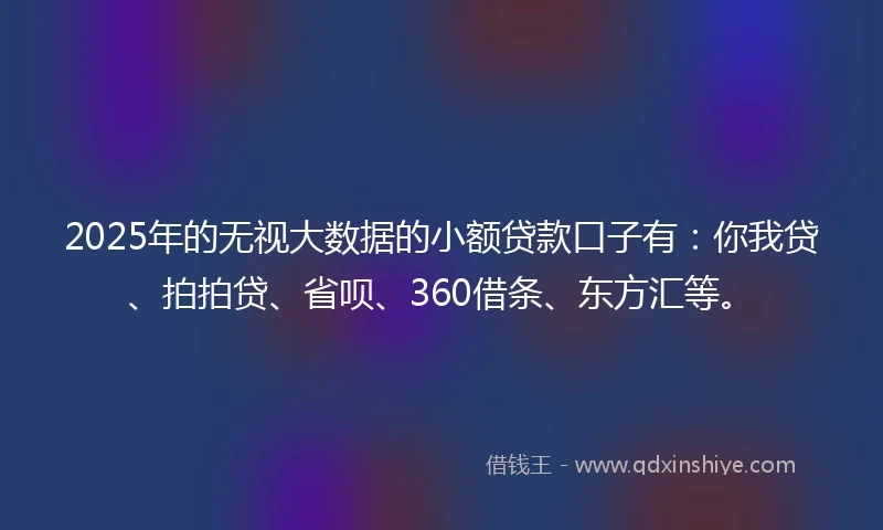 2025年的无视大数据的小额贷款口子有：你我贷、拍拍贷、省呗、360借条、东方汇等。
