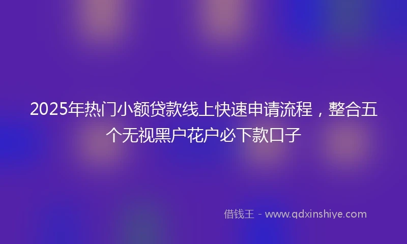 2025年热门小额贷款线上快速申请流程，整合五个无视黑户花户必下款口子
