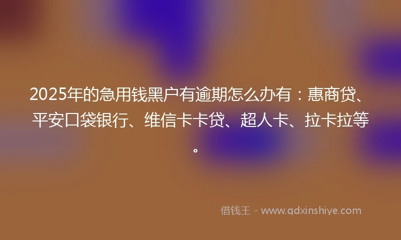 2025年的急用钱黑户有逾期怎么办有：惠商贷、平安口袋银行、维信卡卡贷、超人卡、拉卡拉等。