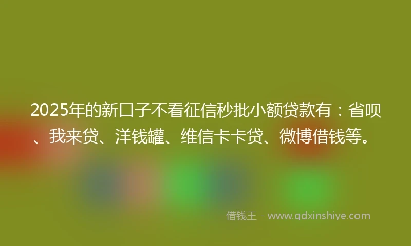 2025年的新口子不看征信秒批小额贷款有：省呗、我来贷、洋钱罐、维信卡卡贷、微博借钱等。