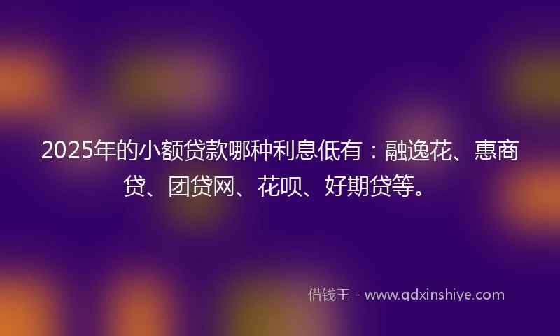 2025年的小额贷款哪种利息低有：融逸花、惠商贷、团贷网、花呗、好期贷等。