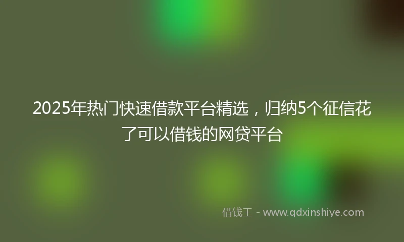 2025年热门快速借款平台精选，归纳5个征信花了可以借钱的网贷平台